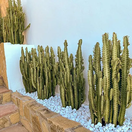 בית נופש House Sleeps 4 - Parking-balcony-seaview - New *
